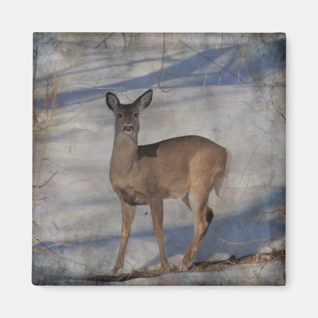 Aimant Cerf dans la neige (Devant)