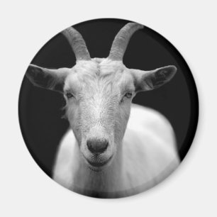 Aimant Cerf de chèvre personnalisation Anniversaires