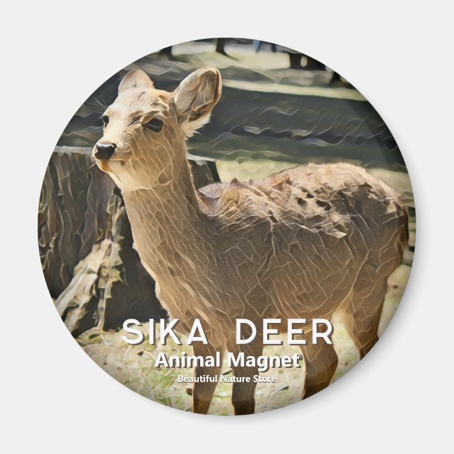 Aimant Cerf Sika magnétique (Devant)