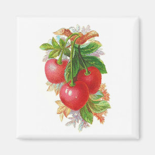Aimant Cerises vintages