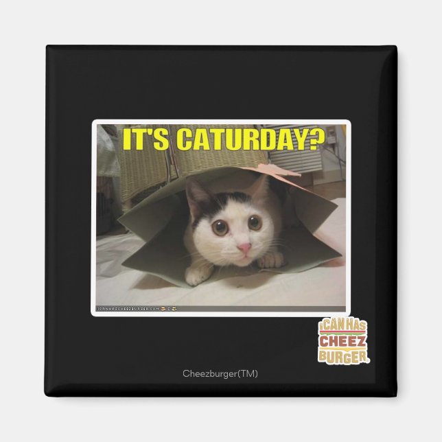 Aimant C'est Caturday ? (Devant)