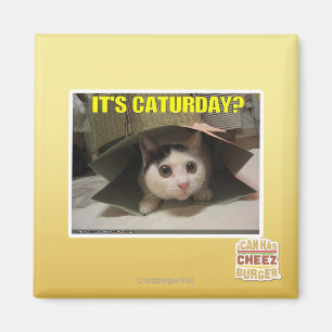 Aimant C'est Caturday ?