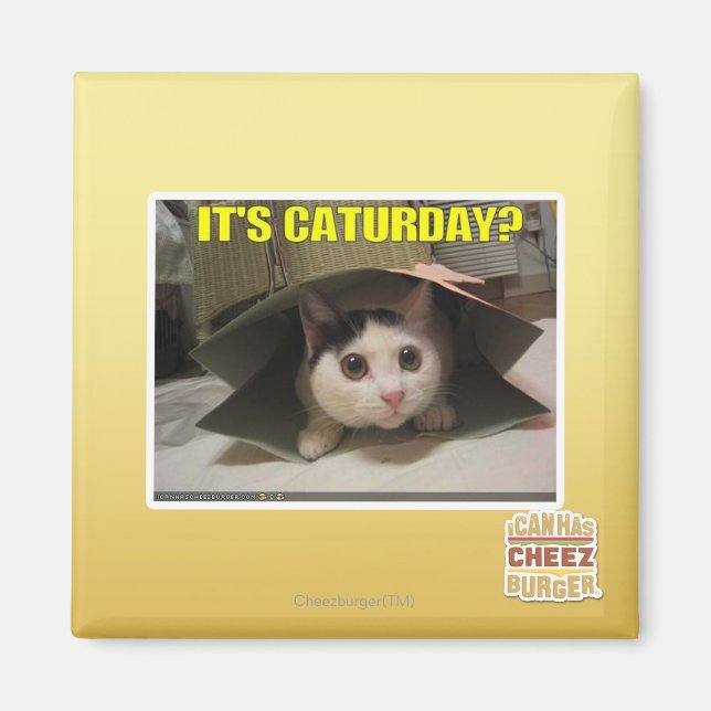 Aimant C'est Caturday ? (Devant)