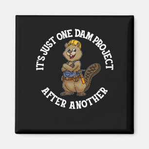 Aimant C'est juste un projet de barrage après un autre br