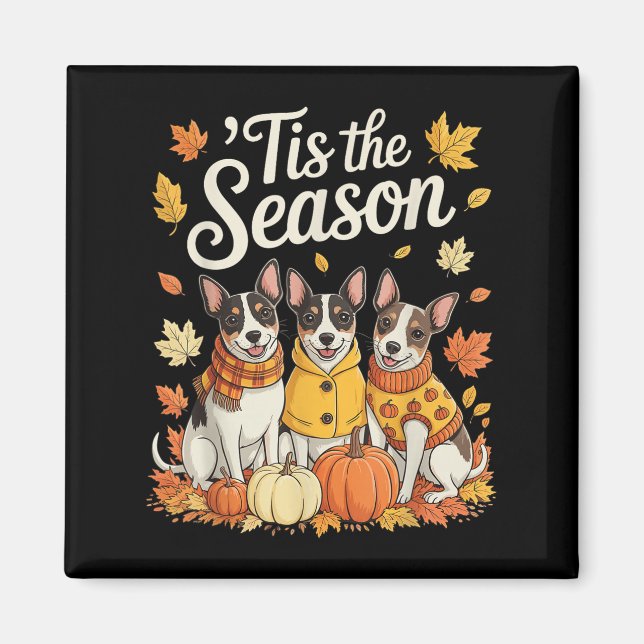 Aimant C'est la saison Rat Terrier automne Pumpkin Dog (Devant)