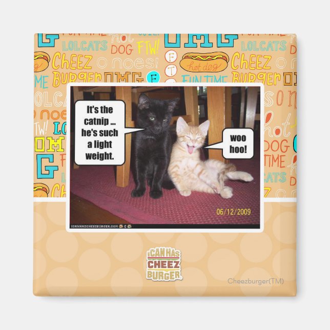 Aimant C'est le catnip (Devant)