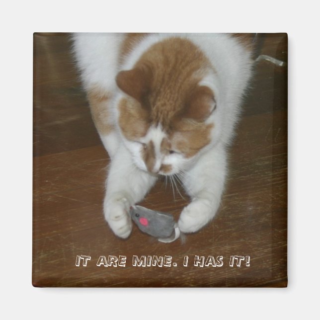 AIMANT C'EST LE MIEN. JE L'AI ! (Devant)