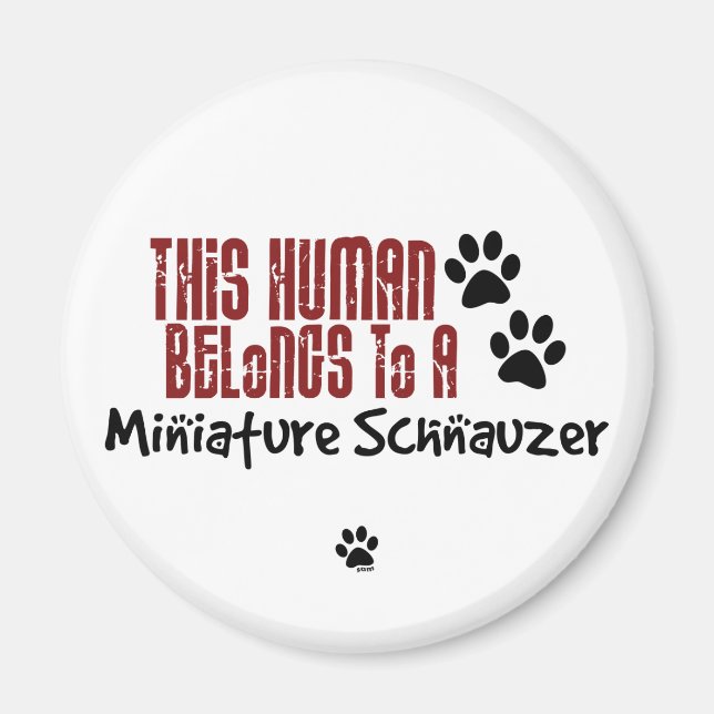 Aimant Cet être humain appartient à un schnauzer miniatur (Devant)