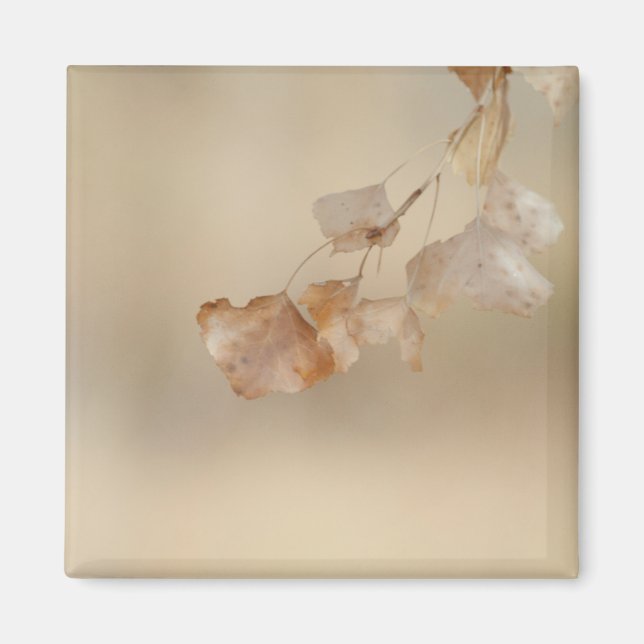 Aimant chaîne de feuilles d'or (Devant)