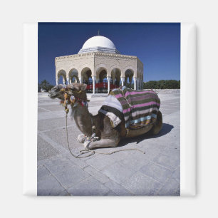 Aimant Chameau posé devant le dôme, Monastir, Tunisie