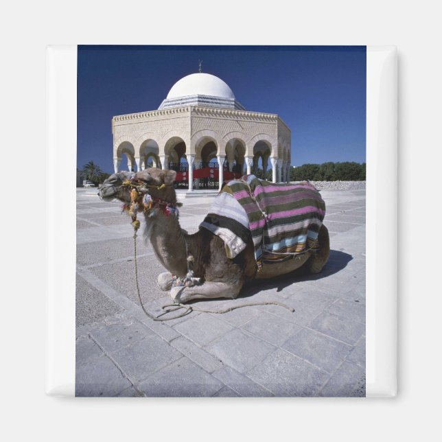 Aimant Chameau posé devant le dôme, Monastir, Tunisie (Devant)
