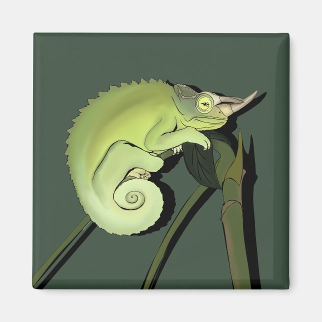 Aimant Chameleon de Jackson (Devant)