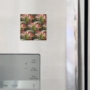 Aimant Champ de Begonias.....