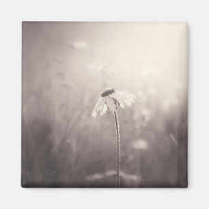 Aimant Champ de sépia des fleurs sauvages dans le couche
