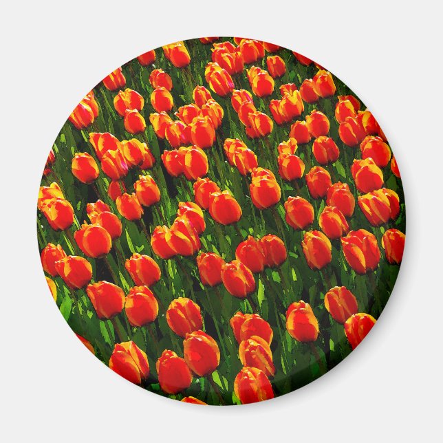 Aimant Champ de Tulipes Orange Lumineuses - Aquarelle (Devant)