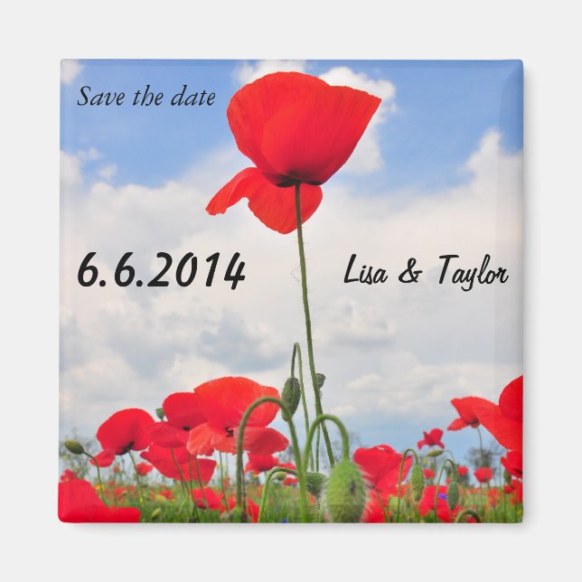 Aimant Champ Poppies (Devant)