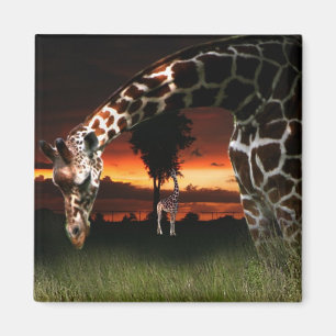 Aimant Champ scolaire africain