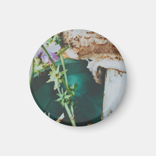 Aimant Champignon parasol, Archipel suédois, Suède (Devant)