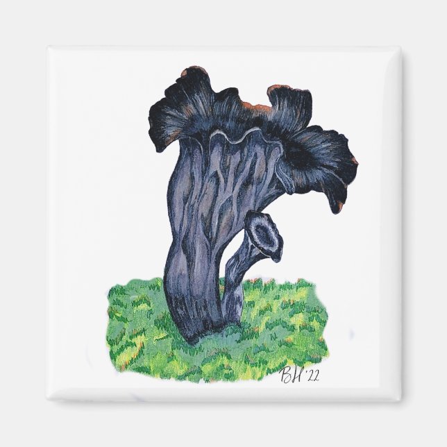 Aimant Champignon Trompette Noire Dessiné à la Main (Devant)