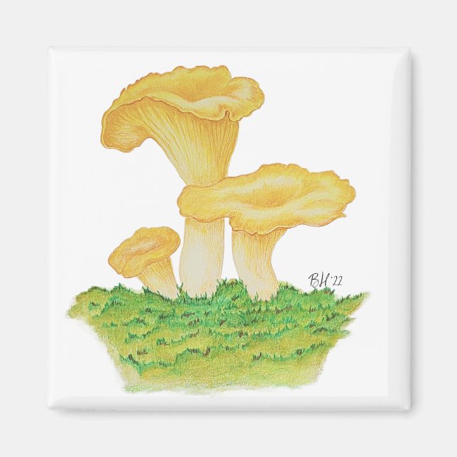 Aimant Champignons Chanterelle dessinés à la main (Devant)