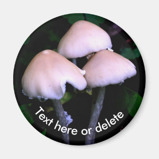 Aimant Champignons de minuit Nature Personnalisé