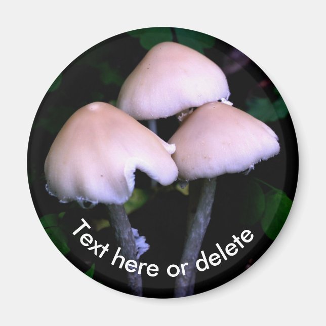 Aimant Champignons de minuit Nature Personnalisé (Devant)