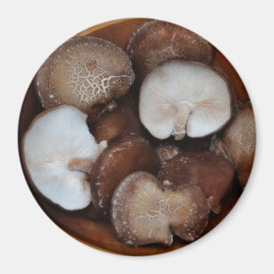 Aimant Champignons de Shitake
