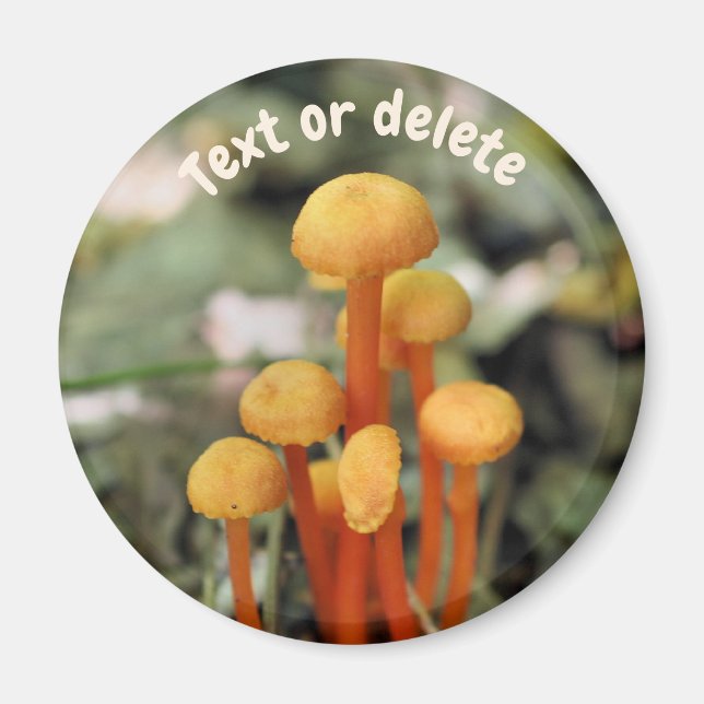 Aimant Champignons Orange Nature Personnalisés (Devant)