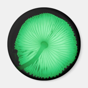 Aimant Champignons rougeoyants