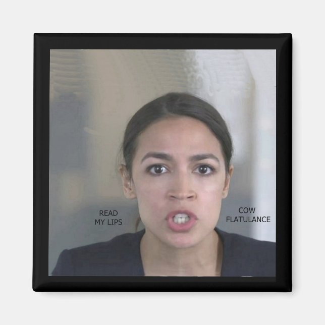 AIMANT CHANGEMENT CLIMATIQUE (Devant)