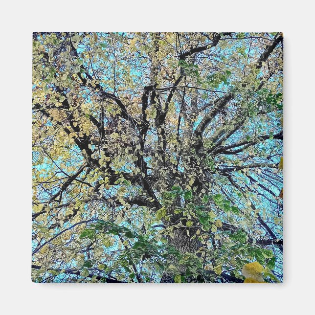 Aimant Changement dans les feuilles (Devant)