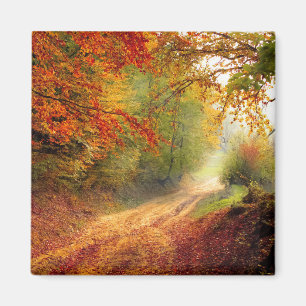 Aimant Changer les couleurs de l'automne