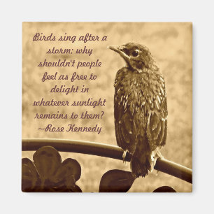 Aimant Chanter après la tempête