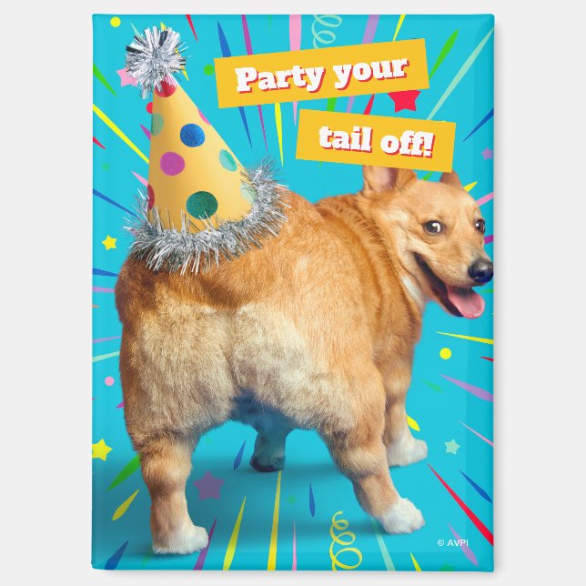 Aimant Chapeau d'anniversaire pour derrière de Corgi (Recto)