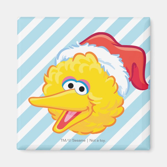 Aimant Chapeau de Père Noël Gros Oiseau (Devant)