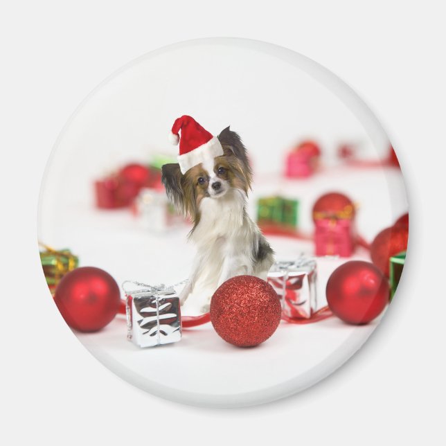 Aimant Chapeau de Santa de Noël pour chien Papillon migno (Devant)