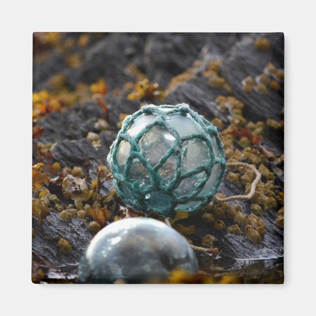 Aimant Char de pêche dans la piscine à marée, Alaska (Devant)