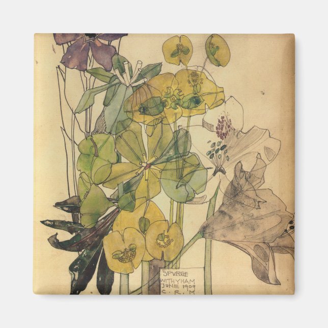 Aimant Charles Rennie Mackintosh - Spurge With Yham 1909 (Devant)