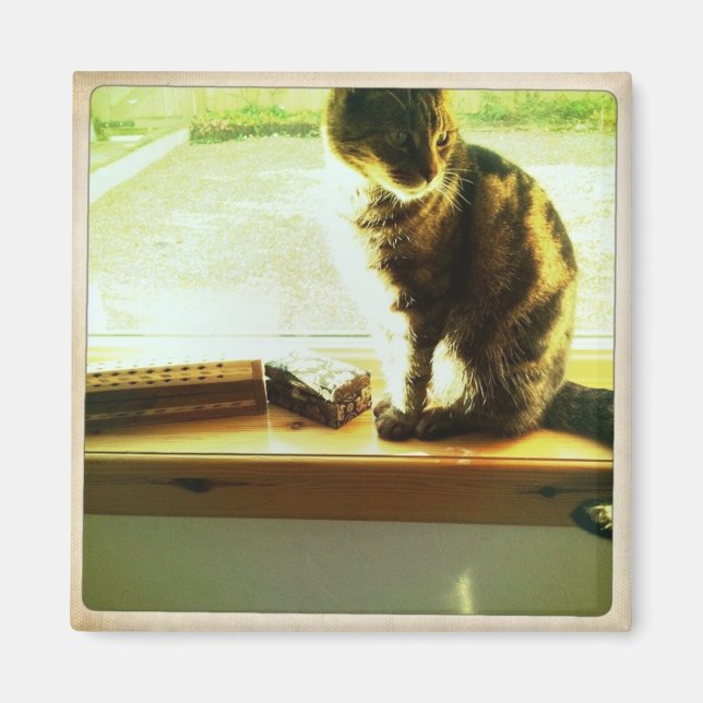 Aimant Charlie À La Fenêtre (Devant)