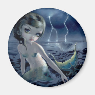 Aimant "Chaser de tempête"