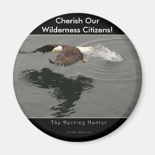 Aimant Chasse à l'aigle à tête blanche article cadeau