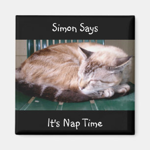 Aimant Chat 7, il est temps de petit somme, Simon dit,