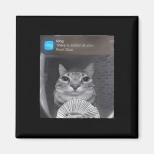 Aimant Chat à anneau avec mème de mouvement