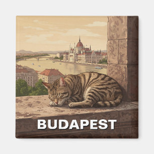 Aimant Chat à Budapest Hongrie Parlement Bâtiment Voyage