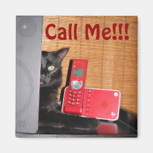 Aimant Chat Amusant !