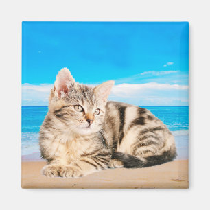 Aimant Chat assis sur la plage de Tropical Island