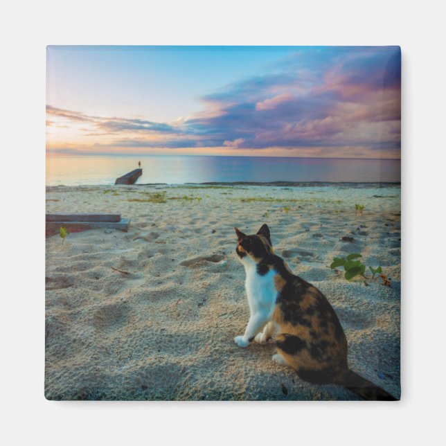 Aimant Chat Assis Sur Une Plage (Devant)