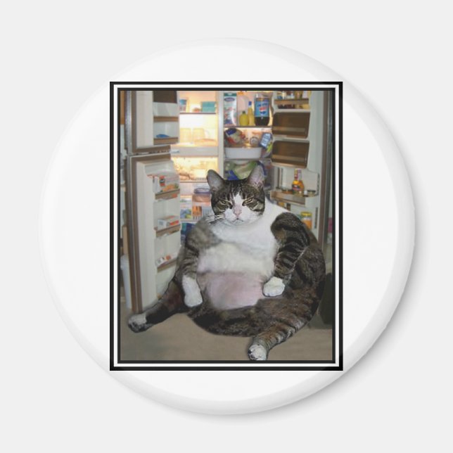 AIMANT CHAT AU RÉFRIGÉRATEUR (Devant)