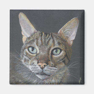aimant Chat Bengal