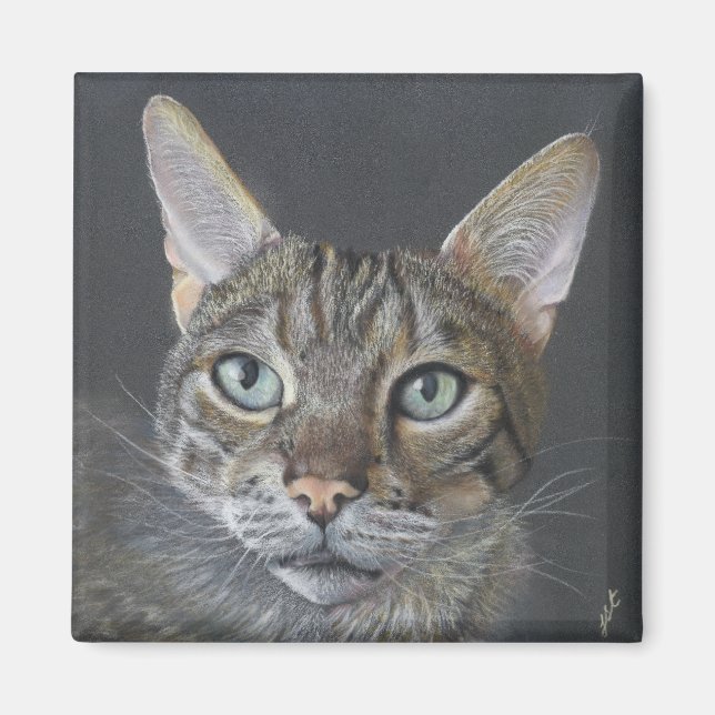 aimant Chat Bengal (Devant)